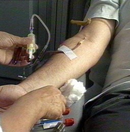 GB: fine al divieto, anche i gay potranno nuovamente donare il sangue